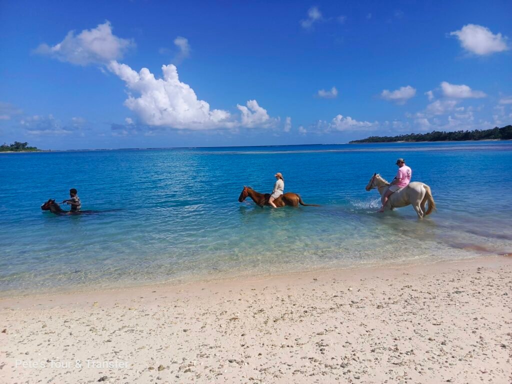 Horse riding tour only in Port Vila