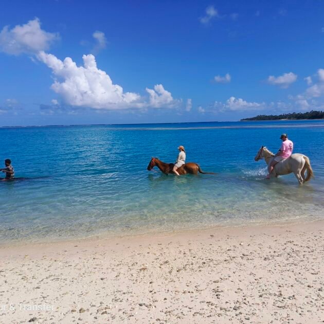 Horse riding tour only in Port Vila