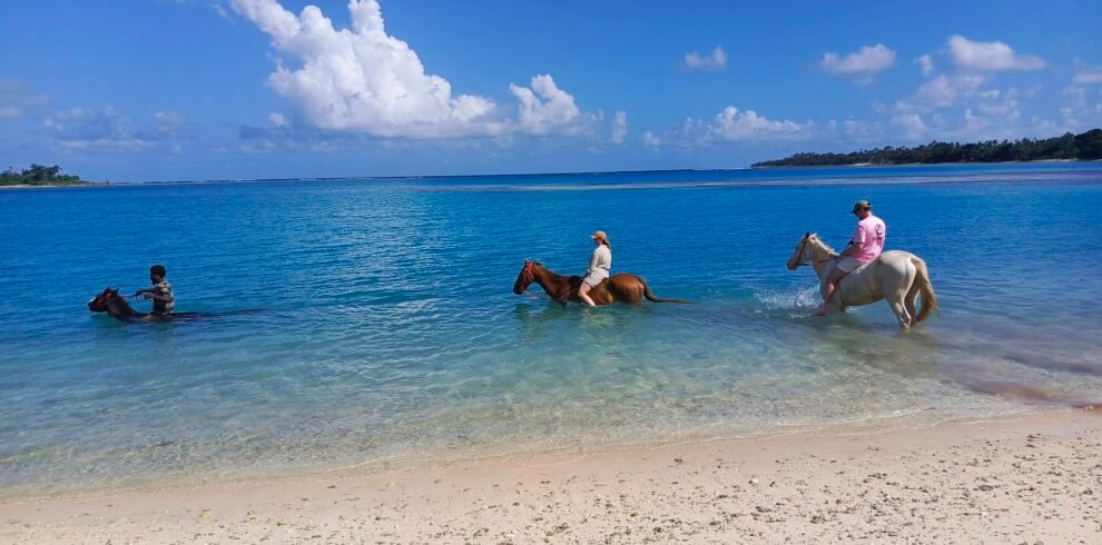 Horse riding tour only in Port Vila